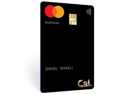 מסטרכארד ביזנס כאל